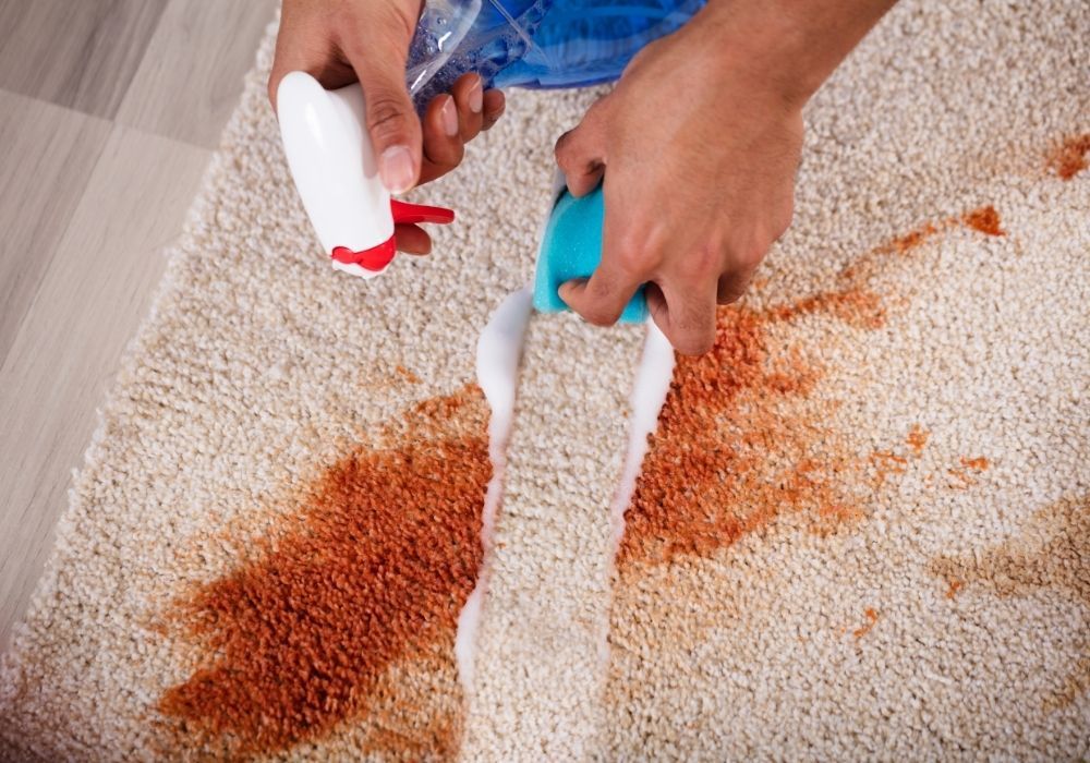 You Haven’t Had Your Carpets Cleaned in How Long??