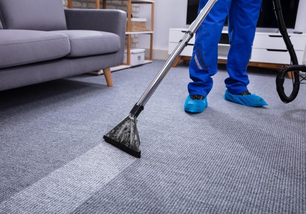 WHO, WHAT, HOW Are Important When You Choose a Carpet Cleaner